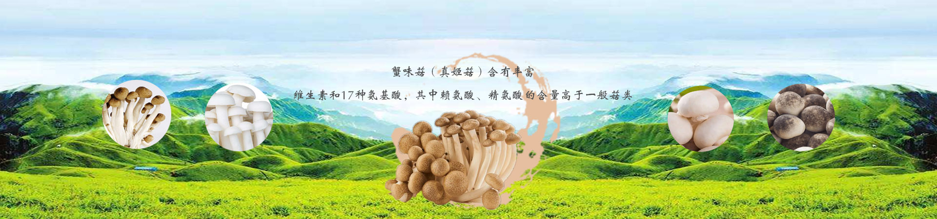 米乐体育app下载安装