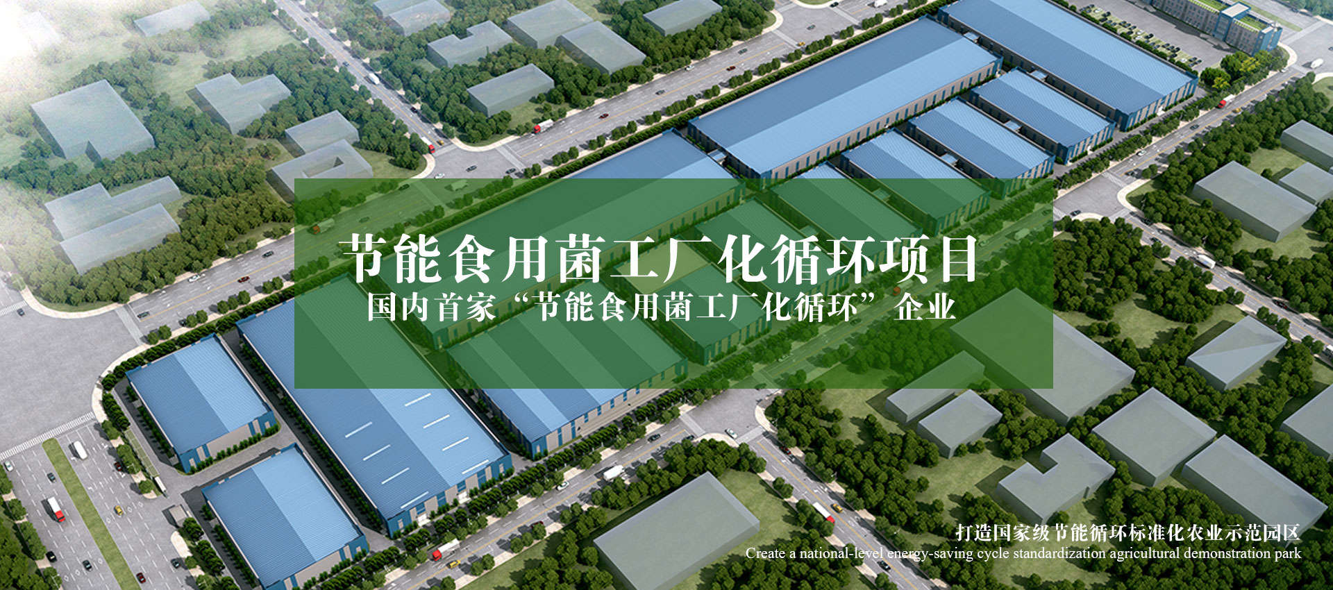 米乐体育在线观看
