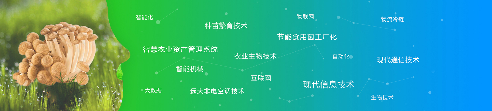 米乐体育app下载安装